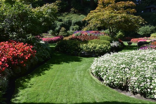 Printemps au Jardin : Conseils pour un Espacet Vert Éclatant