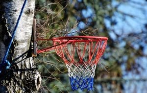 fixation panier de basket sur un arbre